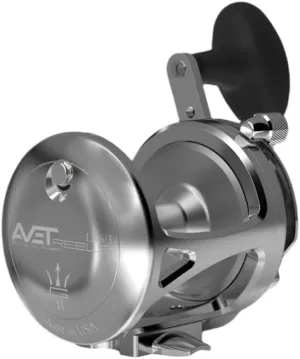 AVET LX 6, 3 G2 2SPD Right Hand - Silver