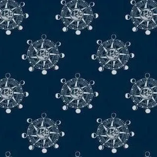 Aweigh North Star Compass in Bluesteel