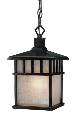 Barton One Light Hanging Lantern in Winchester