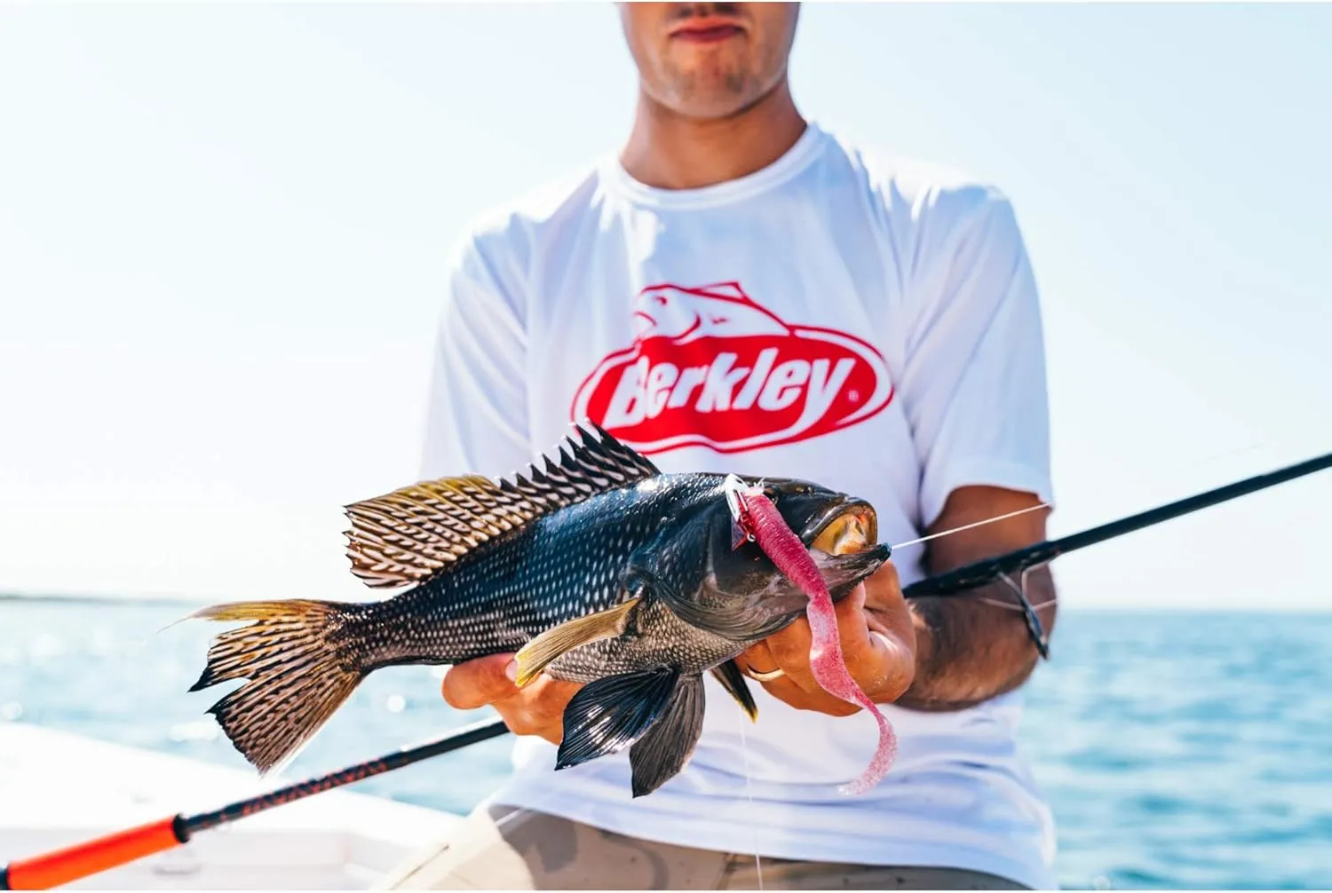 Berkley Lightning Rod Spinning Fishing Rod