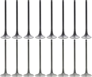 DNJ VK16167 Exhaust Intake Valve Kit for 2007 to 2017 Chrysler, Dodge, Jeep, Mitsubishi L4 1.8L, 2.0L, 2.4L DOHC 16V EV167 X8 IV167 X8