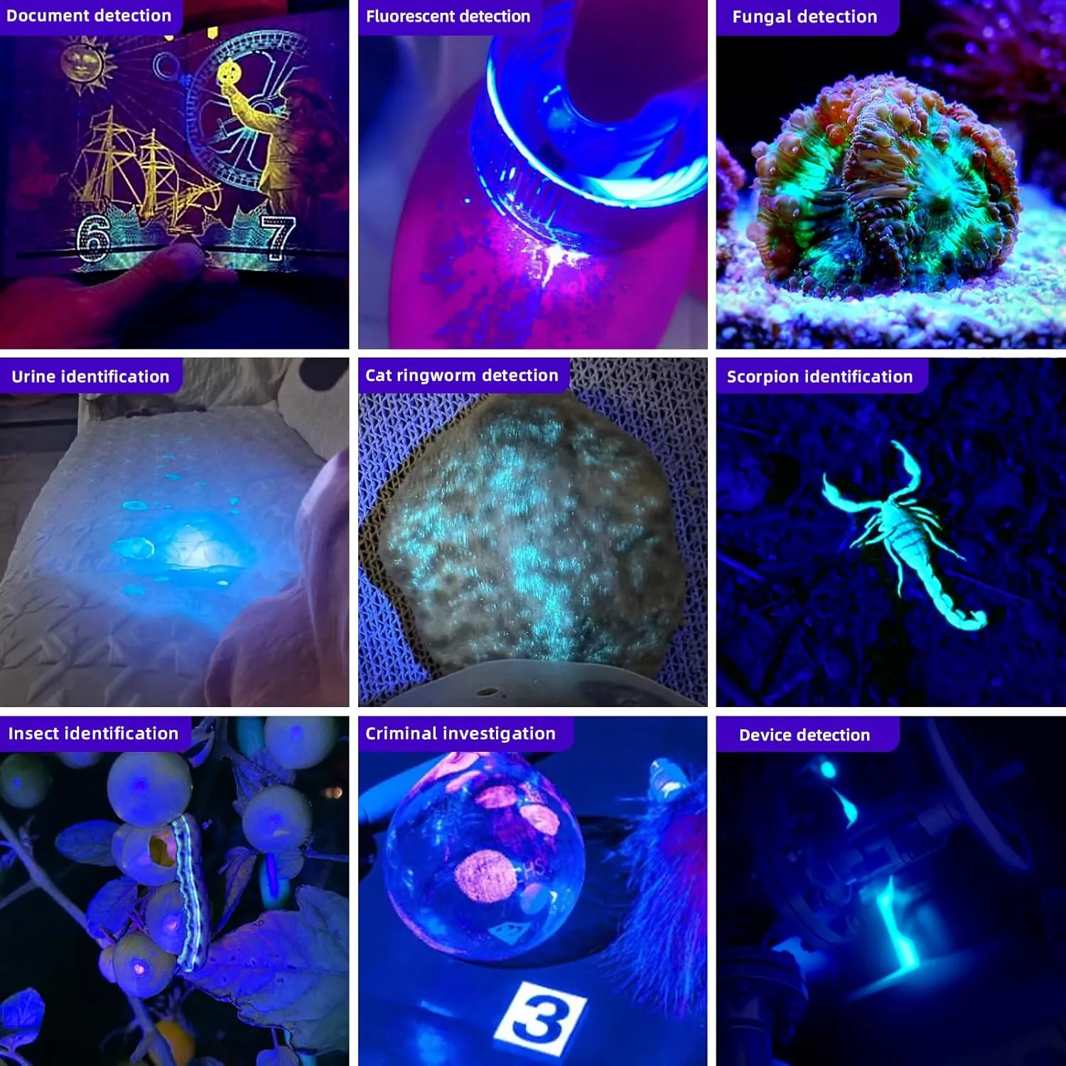 LIGHTFE UV305 High-Power UV Flashlight USB Rechargeable, Used for Hunting Ore, Scorpion and UV Glue Curing, Checking Pet Urine Stains, Identifying Currency, Official Anti-Counterfeiting Documents…