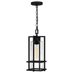 Quoizel One Light Outdoor Hanging Lantern
