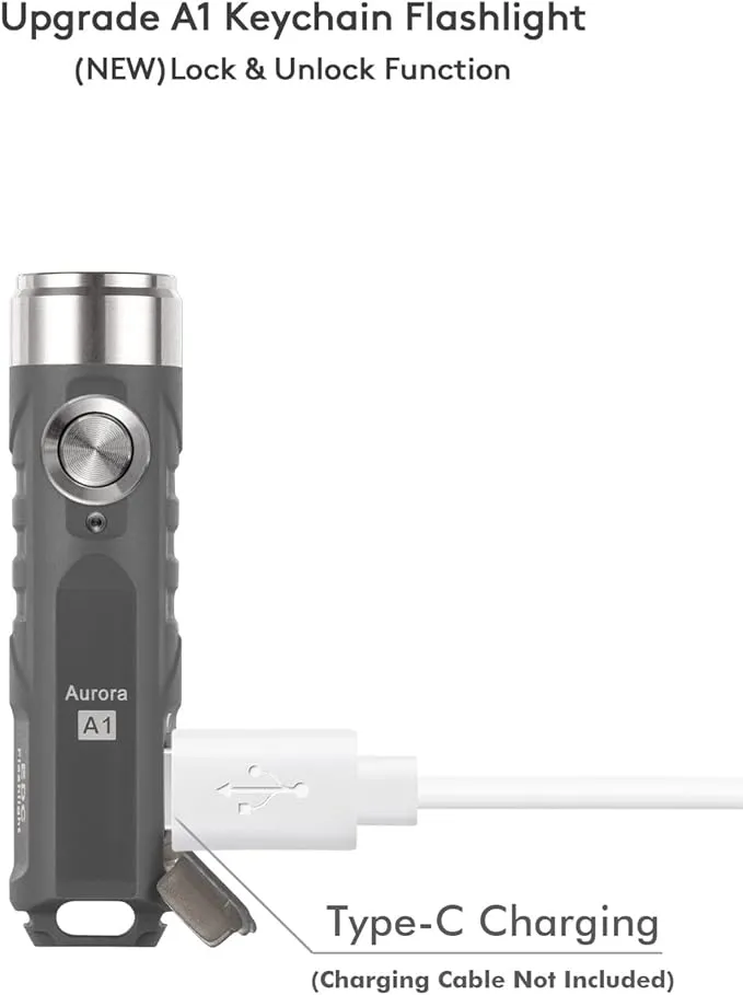 RovyVon Aurora A1 Keychain Flashlights, USB-C Rechargeable Max 650 High Lumens Super Bright with EDC Small Size, 5 Mode Easy Use with Clip,Waterproof,Perfect for Camping Emergencies Gift(Gray)