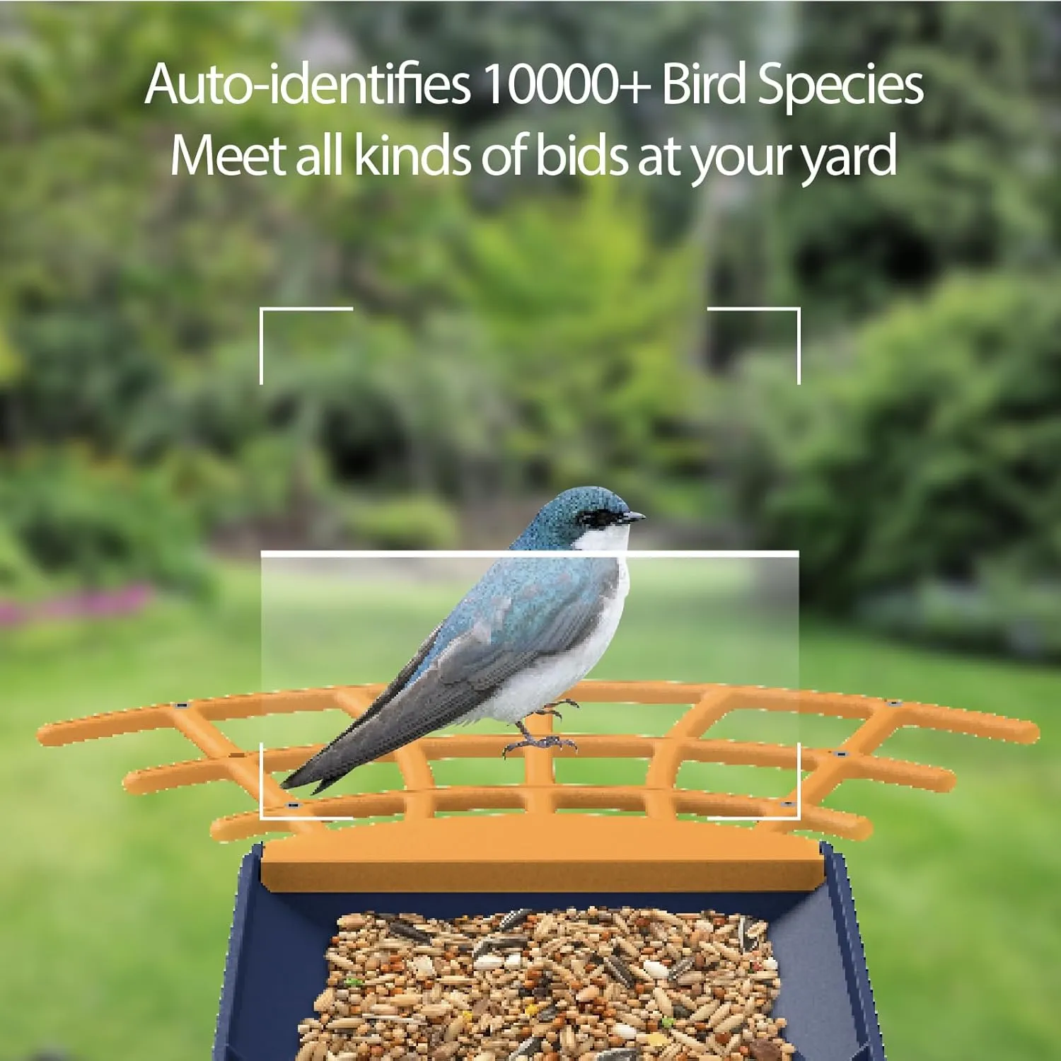 Smart Bird Feeder with Camera, AI Identify Bird Feeder Camera with Solar Pannel, Auto Capture Bird Full HD Videos & Instant Notification, Ideal Present for Bird Lovers