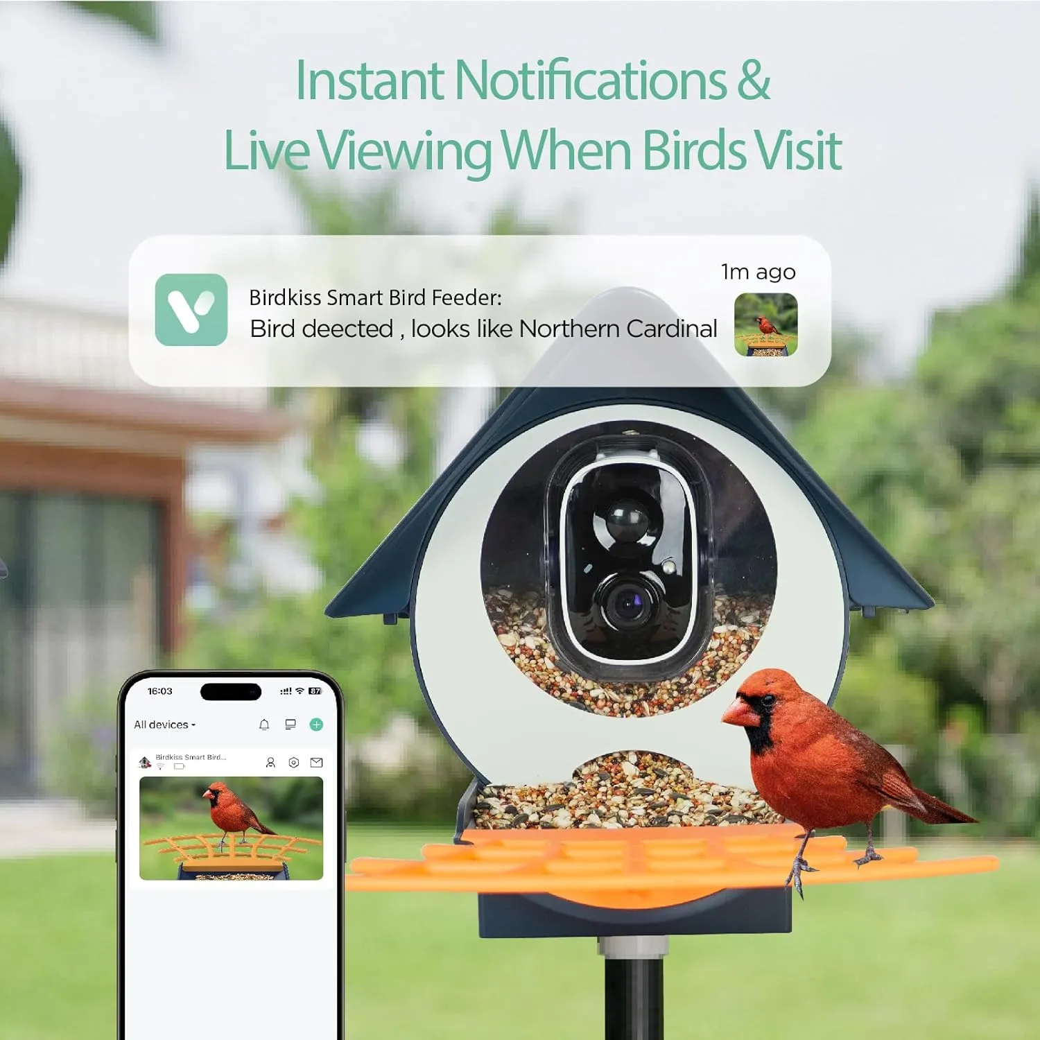 Smart Bird Feeder with Camera, AI Identify Bird Feeder Camera with Solar Pannel, Auto Capture Bird Full HD Videos & Instant Notification, Ideal Present for Bird Lovers