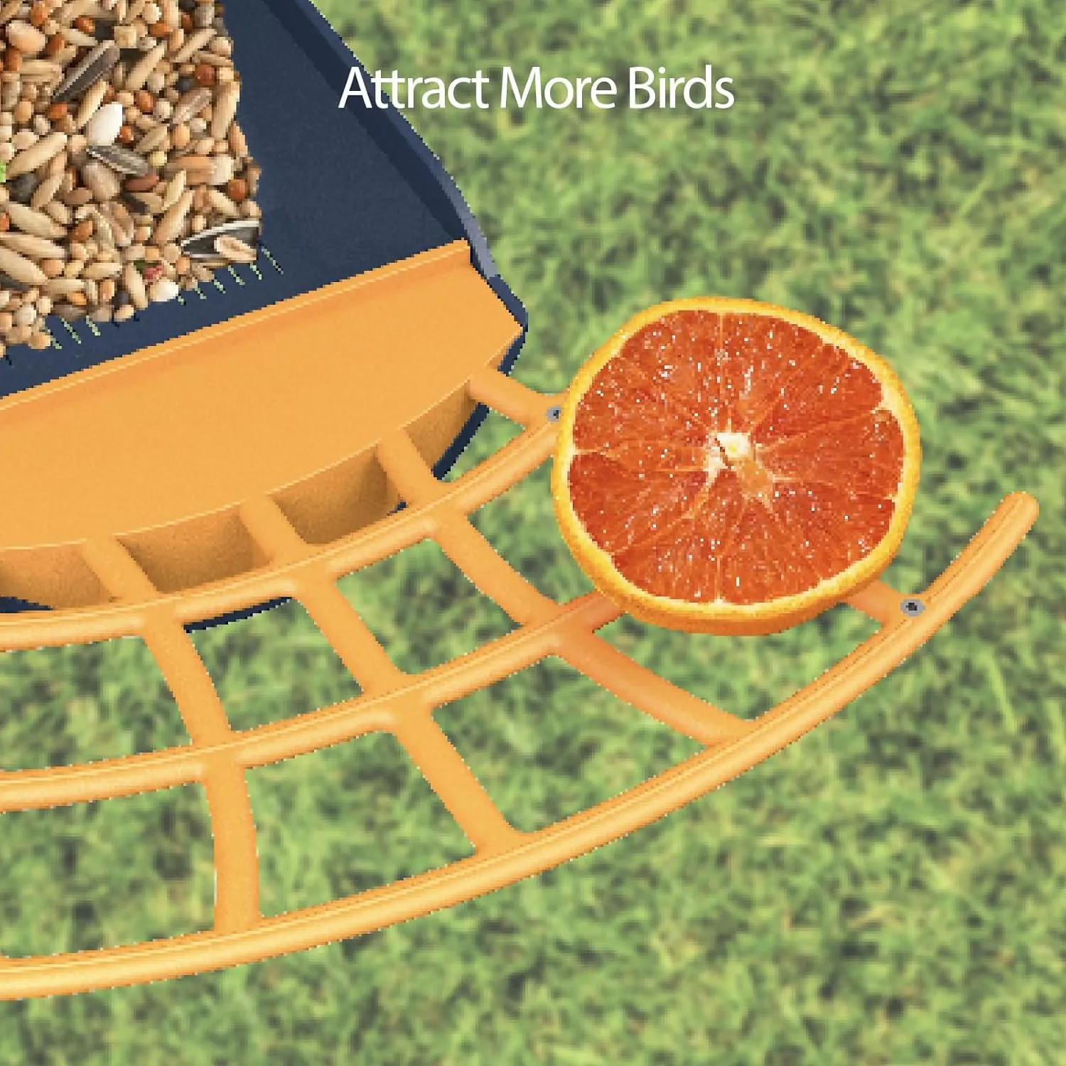 Smart Bird Feeder with Camera, AI Identify Bird Feeder Camera with Solar Pannel, Auto Capture Bird Full HD Videos & Instant Notification, Ideal Present for Bird Lovers