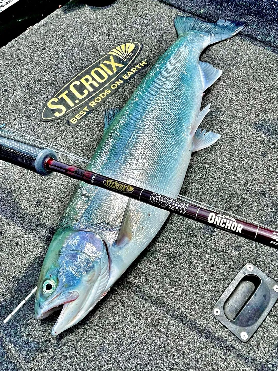 ‎St. Croix Rods Onchor Cork Casting Rod, Salmon and Steelhead, Premium Quality Casting Rod, Manufactured in North America