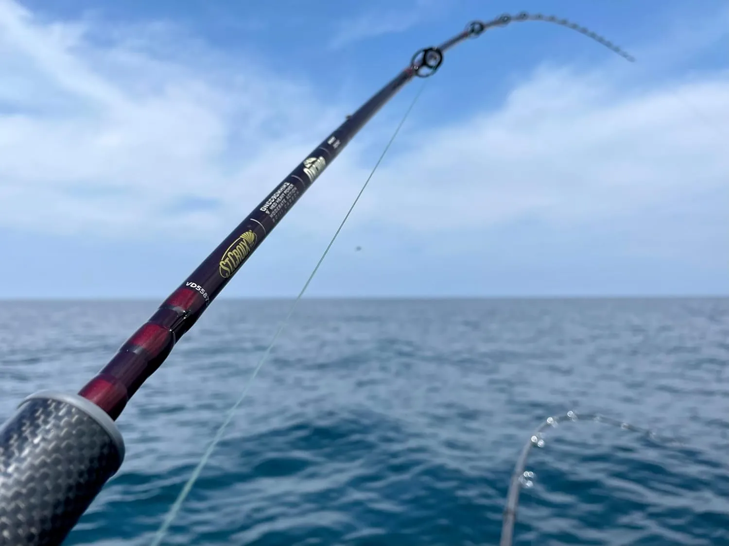 ‎St. Croix Rods Onchor Cork Casting Rod, Salmon and Steelhead, Premium Quality Casting Rod, Manufactured in North America