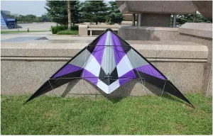 Stunt Kite,70 inch Dual Line Colorful Kites,Delta Kite for Adults Outdoor Fun Sports,with Handle and Line,Suitable for Kids Adults and Beginners Kites (Color : Purple)