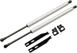 TSUBASA Hood Lift Supports for Nissan Skyline GT-R BNR34 with NISMO Fender & NISMO Bonnet 1999-2002 Modify Gas Struts Shock Damper Spring Rod 2PCS (Silver Carbon Fiber)