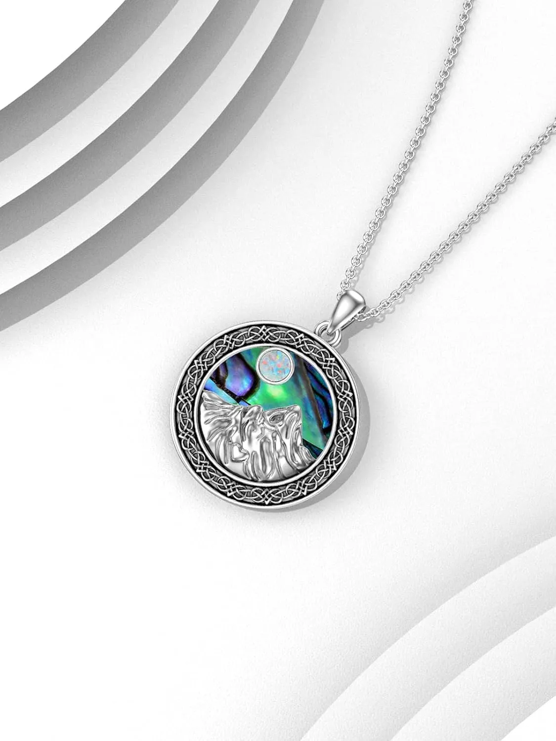WINNICACA Compass Necklace for Women Sterling Silver Compass Pendant Jewelry with Crystal Graduation Gift for Women Compass Gifts for Teen Girls